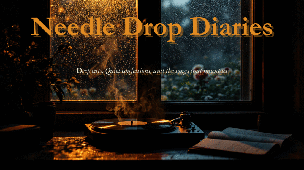 Needle Drop Diaries Banner 3